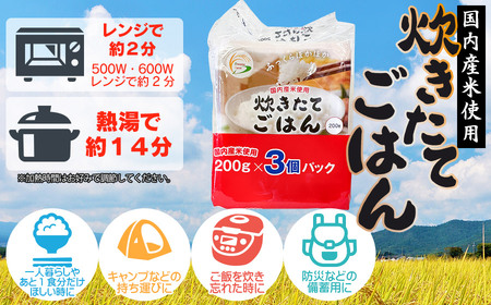 炊きたてごはん パックライス たっぷり 200g × 24食セット