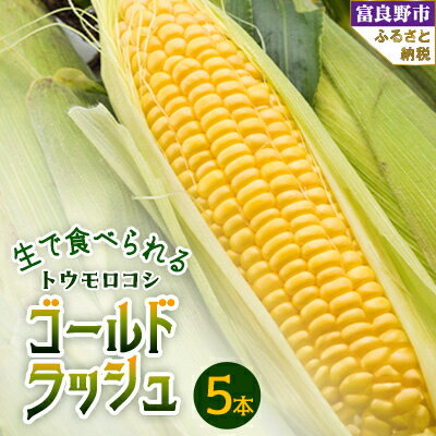 【ふるさと納税】生で食べられるトウモウロコシ　ゴールドラッシュ 5本入り_ とうもろこし トウモロコシ コーン ゴールドラッシュ 国産 北海道産 富良野 生 朝どれ 産地直送 冷蔵 高糖度 贈答 ギフト 限定 送料無料 【配送不可地域：離島】【1483617】