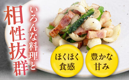 【11月以降順次発送!】 ゆり根 1kg（9玉・ギフト箱入り）《喜茂別町》【Aコープようてい】 ユリ根 ユリネ 北海道 季節の野菜 冬野菜 ギフト プレゼント 産地直送 [AJAK018]