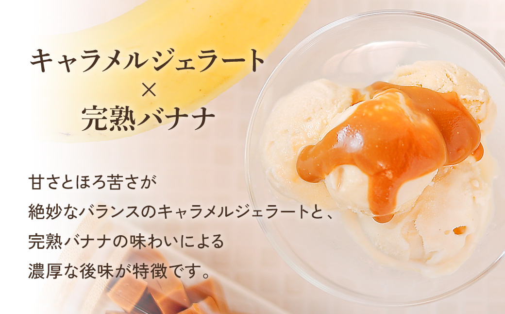 プロテインジェラート キャラメルバナナ 1Lバット カップ約10個分 ホエイプロテイン 配合 手軽 たんぱく質 健康的 低糖質 スイーツ LA FESTA ラフェスタ アイスクリーム アイス デザート