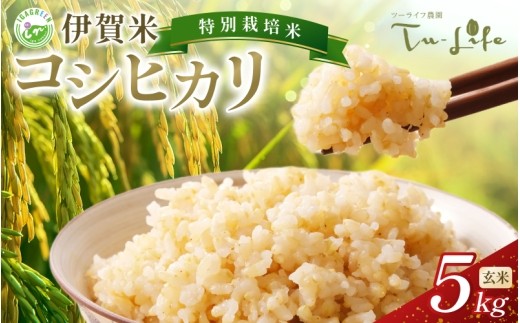 
                  特別栽培米・伊賀米コシヒカリ 5kg〈玄米〉/ 伊賀米 コシヒカリ 玄米 5kg 伊賀米コシヒカリ コシヒカリ玄米 玄米5kg 米 お米 三重県 伊賀市 伊賀 三重 伊賀産米 伊賀市産米 三重県産米 国産米 国産玄米 特別栽培米 特別栽培 こしひかり ブランド米 伊賀産コシヒカリ お米5kg 米5kg 玄米 コシヒカリ 伊賀米 三重県産 伊賀市産 お取り寄せ 伊賀米 玄米 【tuli0005A】
                