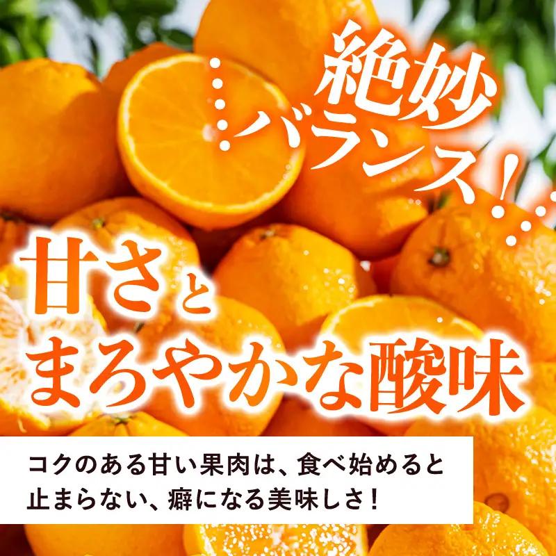 【先行予約】デコタンゴール （5kg）