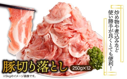 <2025年12月発送分>宮崎県産 豚肉切り落とし 250g×12パック 合計3kg
