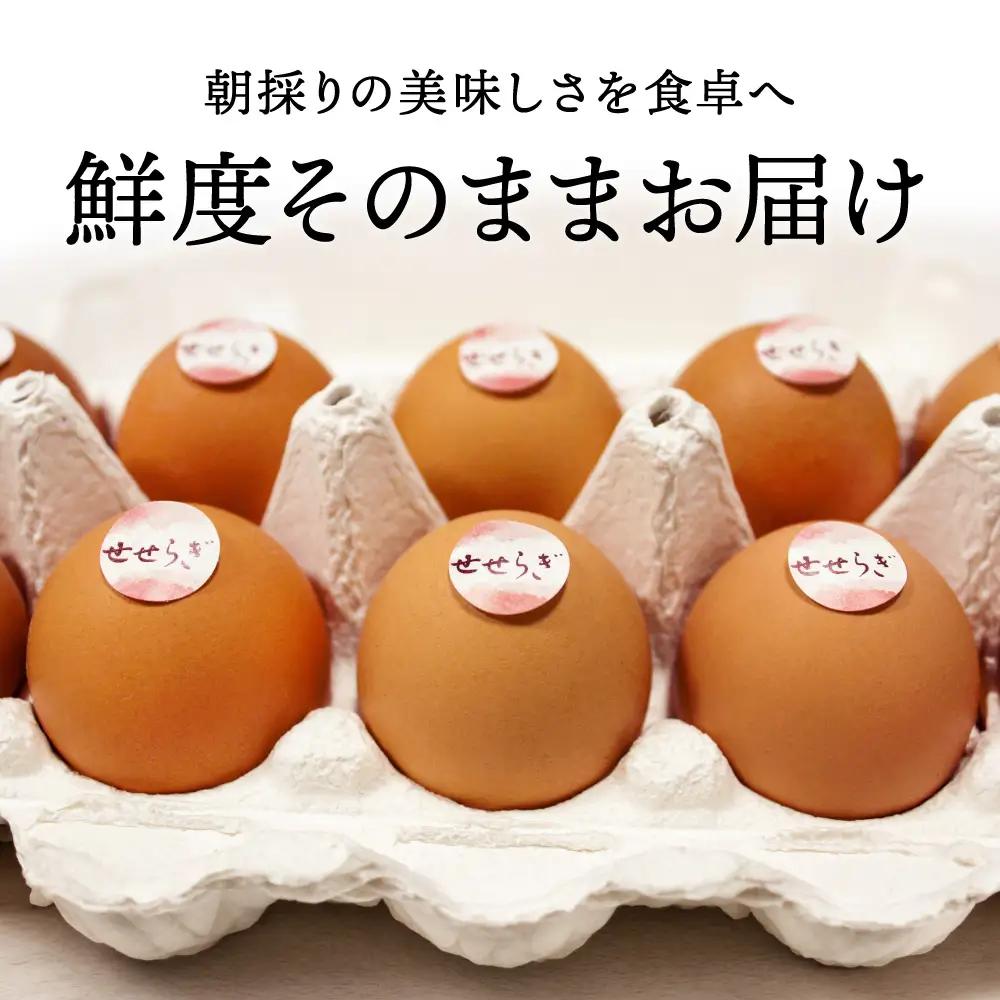 【12ヶ月定期便】せせらぎ卵 80個 〈丹波市産〉 鶏卵 定期便