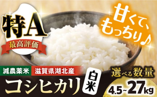 令和6年産【新米】 滋賀県湖北産 湖北のコシヒカリ 9kg(白米)　滋賀県長浜市/株式会社エース物産[AQAK004] 米 お米 ご飯 ごはん ゴハン