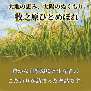 【予約受付】玄米 ひとめぼれ 10kg  国産 edama 牧之原市
