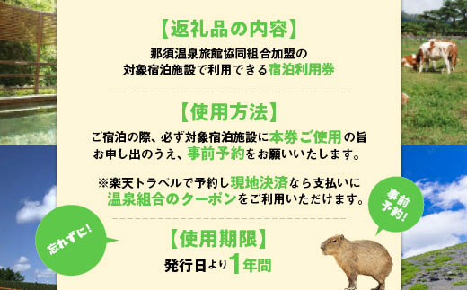 那須温泉旅館協同組合　ご宿泊利用券9,000円分（3,000円×3枚）〔D-9〕≪旅行 旅 温泉 露天風呂 リゾート プール≫