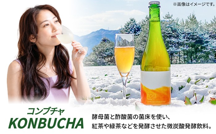 ほうじ茶コンブチャ fog-hojicha オリジナルコンブチャ お茶 発酵飲料 腸活 白川町