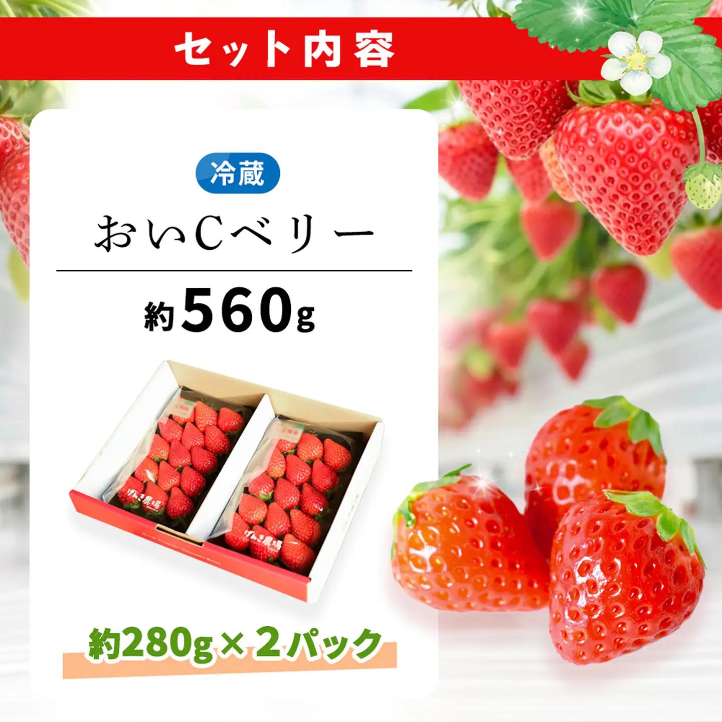 【2027年4月発送】【先行予約】【農場直送！】おいCベリー(約280g×2P) K100113