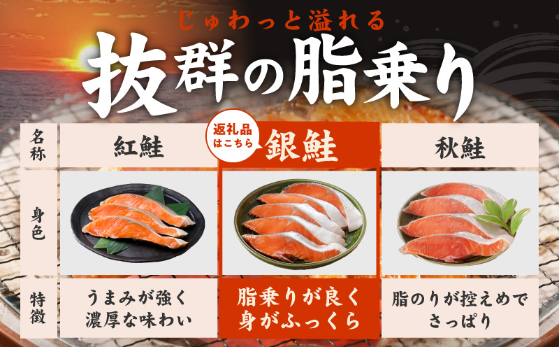 【訳あり】銀鮭 切り身 3kg(約27切れ)【規格外 甘塩 バラ凍結 海鮮 魚介 鮭 さけ しゃけ お弁当 朝食 おかず 簡単調理 家計応援】