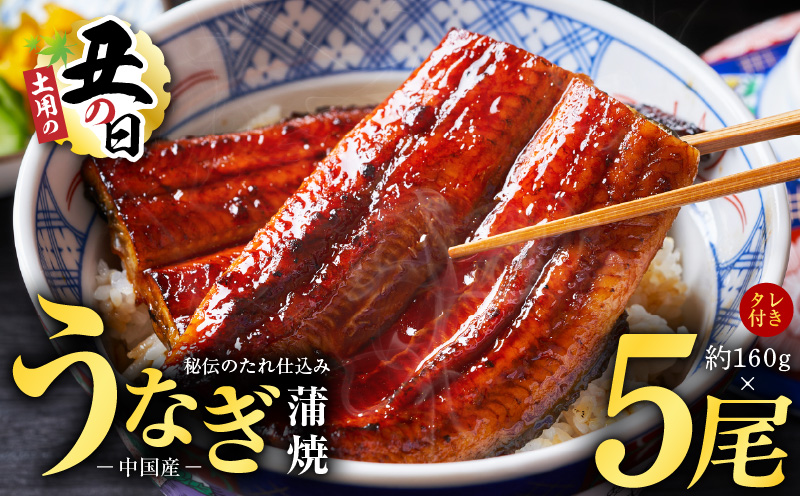 【土用の丑の日までにお届け】うなぎ蒲焼 合計800g【約160g×5尾 特製タレ付 鰻 ウナギ 中国産 レンジ 温めるだけ 簡単調理 ふわふわ 炭火焼き 備長炭 手焼き】