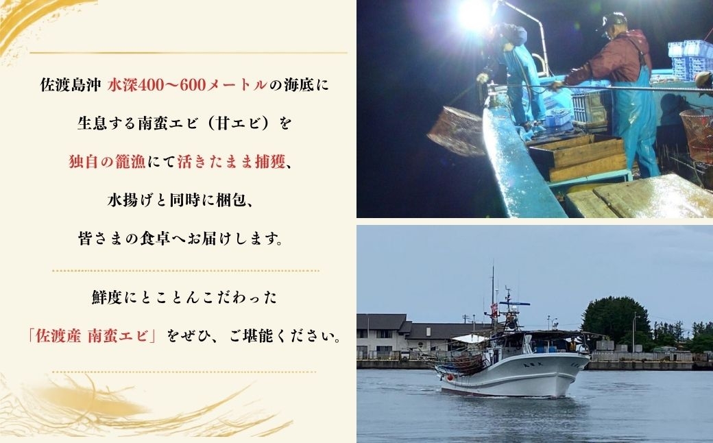 佐渡産 南蛮エビ（甘エビ）チルド 400g（約30尾）