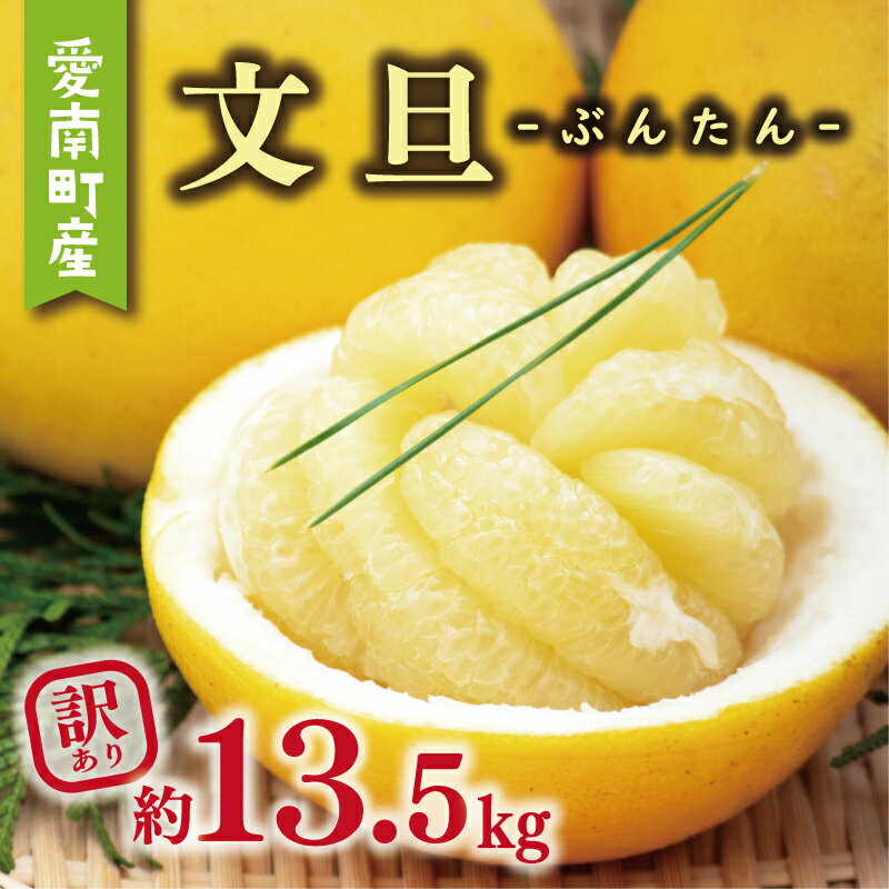【ふるさと納税】 訳あり 文旦 13.5kg 10000円 ぶんたん みかん mikan 蜜柑 ミカン わけあり 家庭用 産地直送 国産 農家直送 期間限定 数量限定 特産品 人気 限定 フルーツ 果物 柑橘 小玉 含む サイズ ミックス 傷み補償 500g ミッチーのおみかん畑 愛南町 愛媛県