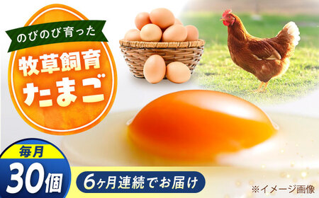 【全6回定期便】天心山 たまご 30個 [BABW027] たまご