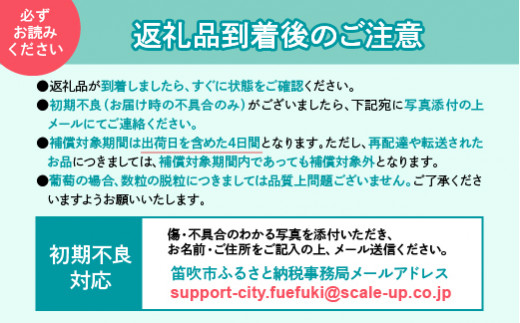 ＜2024年先行予約＞桃の一大産地！笛吹市産旬の桃2kg以上 167-001