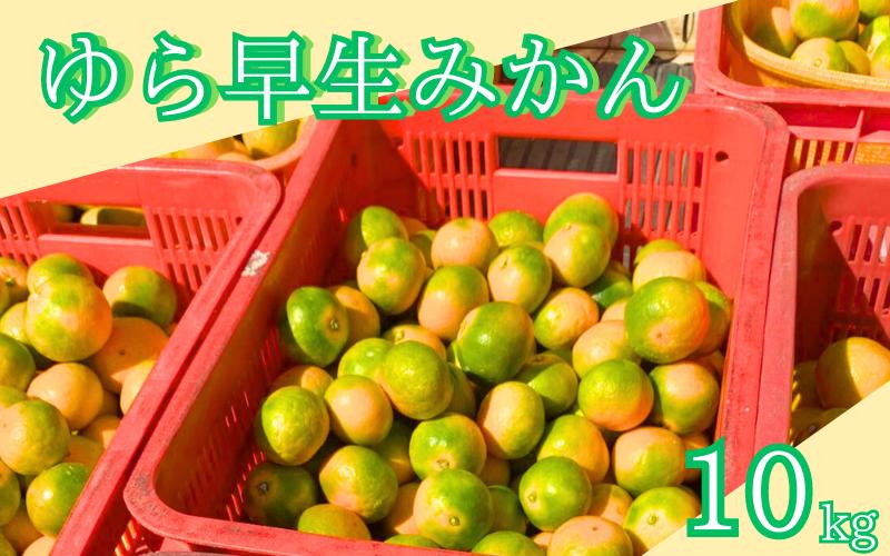 
【期間限定・2024年10月末まで】ゆら早生みかん10kg / 和歌山県 温州みかん ミカン フルーツ 果物 柑橘 田辺市【ike013】
