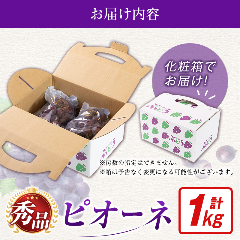 【令和9年発送 先行予約】小林市産 ピオーネ 1kg（ぶどう ブドウ ピオーネ フルーツ 果物 くだもの ）