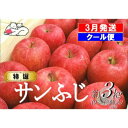 【ふるさと納税】【クール便】3月発送 白熊 特選 サンふじ 絆 約3kg 糖度13度【弘前市産 青森りんご】　 果物 フルーツ 食後 デザート シャキシャキ ジューシー りんごの王様 　お届け：2025年3月1日～2025年3月31日