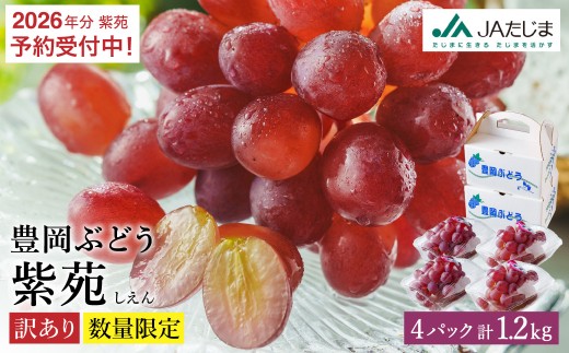 【2026年先行予約】数量限定 訳あり 豊岡ぶどう「紫苑」 約300g×4パック