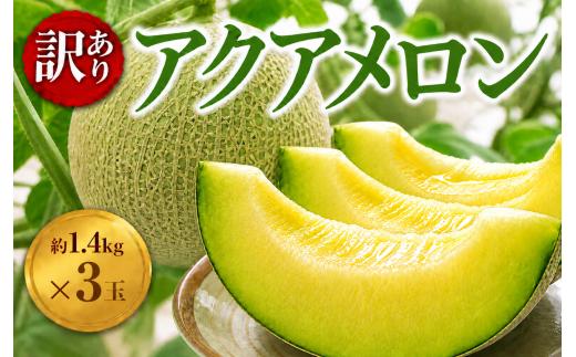訳あり 千葉 アクアメロン 約1.4kg （ L玉 ）× 3玉 メロン めろん マスクメロン ますくめろん 果物 くだもの フルーツ ふるーつ おすすめ 甘い 大玉 大容量 高糖度 高級 アールスメロン 戸田メロン 千葉県 東金