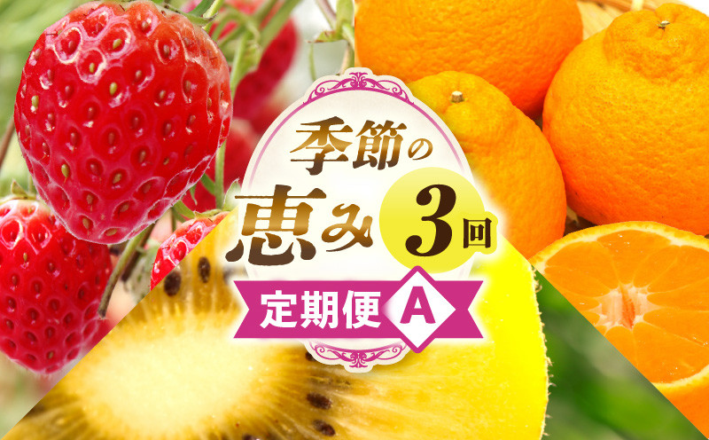 
                  季節の恵み3回定期便A | 果物 フルーツ 青果 青果物 デザート スイーツ 果実 旬 季節 旬の果物 季節の果物 生鮮食品 生鮮 贈答 贈り物 ギフト プレゼント おすそ分け お祝い 内祝い ご褒美 人気 グルメ お取り寄せ 特産品 特産 国産 香川県 三木町 |_mk165-t016
                