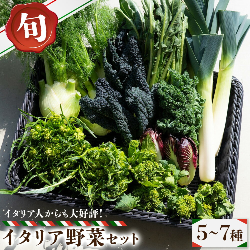 【ふるさと納税】野菜 旬の イタリア野菜 セット 5～7種 《11月下旬-3月中旬頃出荷》JA晴れの国 矢掛アグリセンター 野菜 ねぎ ネギ 国産 イタリア リーキ プレコーチェ カタローニャ ルーコラ ズッキーニ トマト 玉ねぎ 西洋 野菜 送料無料
