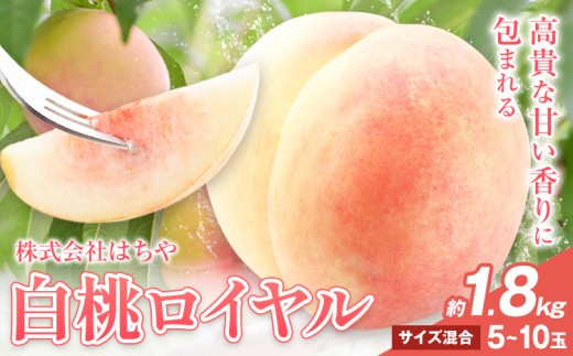 【先行予約】岡山白桃 等級 ロイヤル 約1.8kg《7月上旬‐8月下旬頃出荷》もも モモ 岡山 国産 フルーツ 果物 岡山県 浅口市 株式会社 はちや フルーツ モモ 果物 青果 旬 白桃 国産 岡山県産【配送不可地あり】---124_c2032_7a8c_25_21500_1800gr---