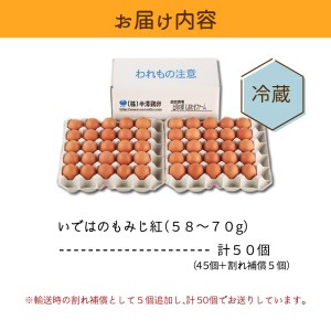 たまご 50個 入り（破損補償5個を含む）新鮮うみたて【ブランド 卵 いではのもみじ紅 】