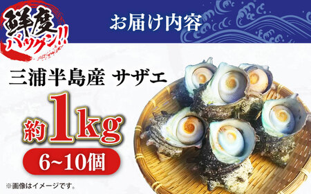 サザエ 1.0kg 6～10個 三浦半島 さざえ 栄螺 獲れたて 新鮮 つぼ焼き アウトドア BBQ バーベキュー おつまみ ツマミ 貝 海鮮 魚介 魚介類 旬 おかず 活 活サザエ
