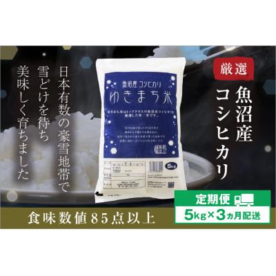 ふるさと納税 十日町市 【毎月定期便】ゆきまち米 5kg[厳選された新潟県魚沼産コシヒカリ]全3回