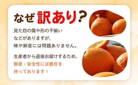 ＜fululy直送 伊予柑 訳あり 約3kg 中玉サイズ（M～2L）＞ ワケアリ サイズ混合 中玉 果物 フルーツ 蜜柑 いよかん イヨカン 柑橘 家庭用 合同会社fululy 直送 愛媛県 西予市【