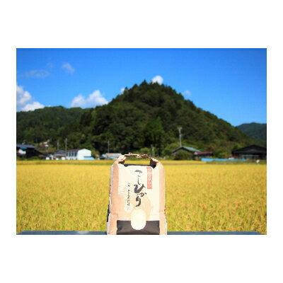 【ふるさと納税】【令和7年産】うるぎ米 3kg【1547259】