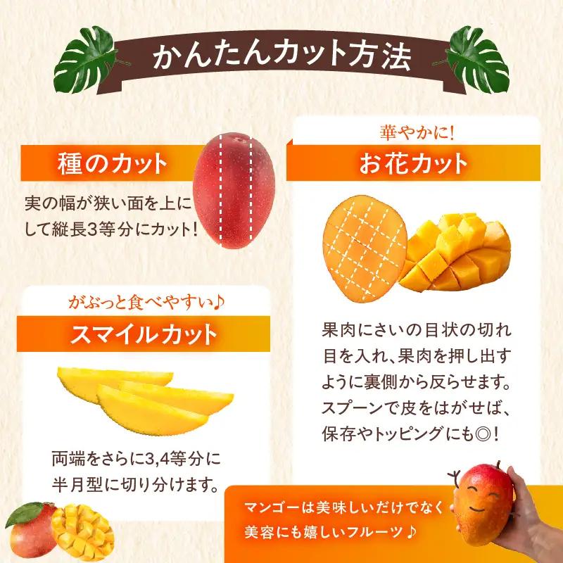 【先行予約/数量限定】完熟マンゴー ３L～４L×２玉（パック）宮崎県産 濃厚 高級 果物 フルーツ 贈答 ギフト 完熟マンゴー マンゴー  【JA綾町】_A0114-2301