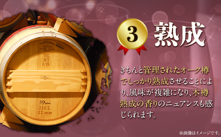 南阿蘇村産ぶどう100%使用 赤ワイン RED cow 飲み比べセット 750ml × 2本《30日以内に出荷予定(土日祝除く)》熊本---sms_winecow_30d_23_28000_2p---