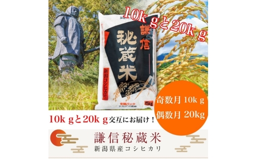 令和7年産 新潟県産 コシヒカリ 定期便 月替わり発送(奇数月10kg偶数月20kg) 全12回 謙信秘蔵米 真空 窒素挿入 冬眠パック 米 お米 コメ 上越 上越産 上越米 上杉謙信