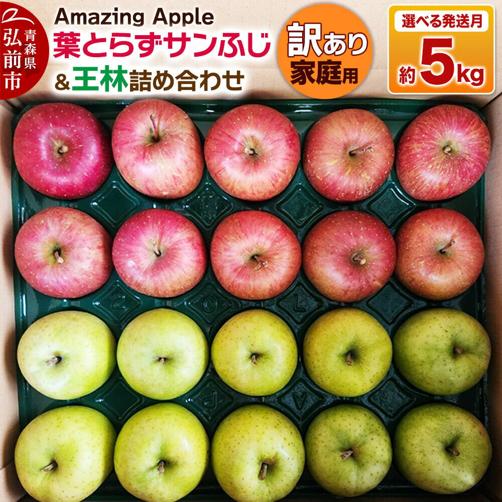 【ふるさと納税】【寄附金額見直しました】りんご 葉とらずサンふじ＆王林 詰め合わせ【訳あり】家庭用 約5kg【選べる発送月】 [りんご サンふじ 葉とらず ふじ 王林 訳あり 家庭用 選べる 5kg 詰め合わせ セット アップル おいしい 果実 果物]