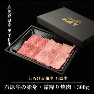 石原牛の赤身・霜降り焼肉セット(300g) 石原牛 焼肉用 霜降 ハーフ 国産 牛 ウシ 牛肉 焼肉 BBQ バーベキュー ビーフ 冷凍【石原PRO】ishihara-1348