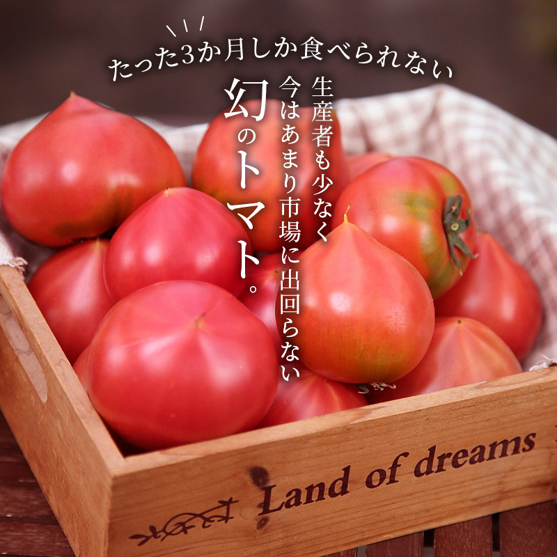 【2026年度予約分】【予約受付】 たった3ヶ月しか食べられない 幻 フルーツ トマト ファーストトマト 容量 約700g 特に美味しい 3月 ? 5月 限定発送 長田農園 完全木熟栽培 果皮 薄い 