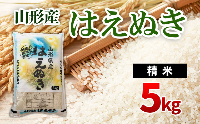 
            はえぬき 5kg FZ20-949 精米 ブランド米 山形県 山形市
          