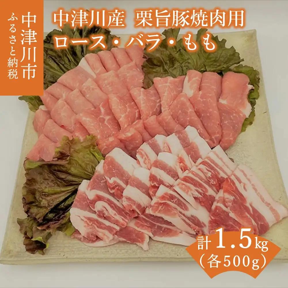 チルド便でお届け！中津川産ブランド豚【栗旨豚】特盛1.5キロ！焼肉用 F4N-1234