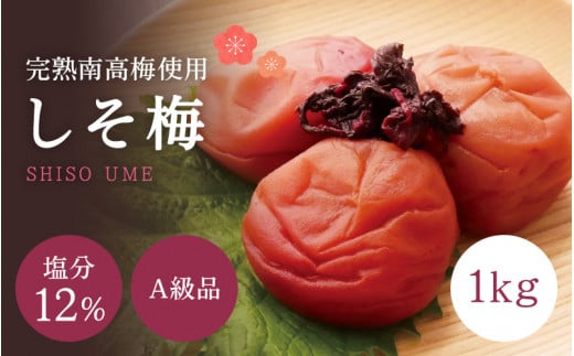 【A級品】紀州南高梅 しそ梅 1kg 塩分12％ / 梅干し 梅干 うめぼし 南高梅 しそ梅 しそ梅干し シソ 紫蘇 国産 梅 うめ ウメ 完熟 健康 ご飯のお供 贈り物 ギフト プレゼント お取り寄