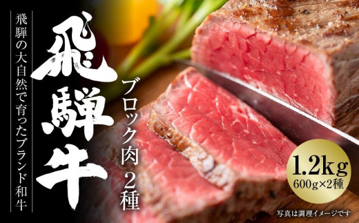 飛騨牛 ブロック肉[塊]2種 1.2kg（霜降り/赤身 各300ｇ×2種） 冷凍真空パック | 肉 お肉 ローストビーフ 煮込み 焼肉 焼き肉 やきにく BBQ 黒毛和牛 和牛 食べ比べ 人気 おすすめ 牛肉 ギフト お取り寄せ 7日以内お届け【飛騨高山ミート MZ024】