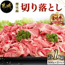 【ふるさと納税】都城産宮崎牛切り落とし1kg - 都城産宮崎牛切落とし肉(500g×2パック) 計1キロ 冷凍保存可 牛モモ肉 牛バラ肉 ミックス 肉じゃが/カレー/炒め物/すき焼きなどに 国産黒毛和牛 送料無料 MJ-6405【宮崎県都城市は2年連続ふるさと納税日本一！】