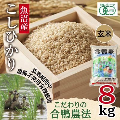 ふるさと納税 十日町市 【玄米】魚沼産 コシヒカリ 8kg 栽培期間中農薬不使用 あいがも農法 有機栽培米 新潟県十日町市