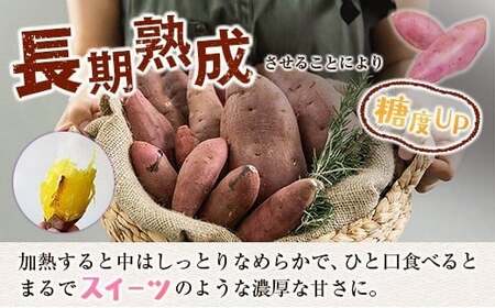 ＜定期便＞3回お届け！長期熟成 紅はるか 計3kg（1kg×3回）宮崎県都城市産 さつまいも サツマイモ