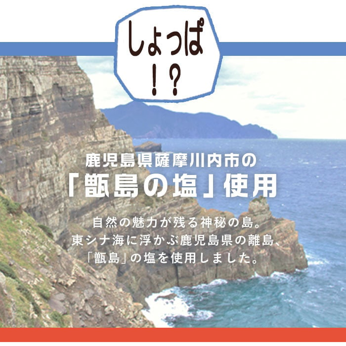 ZS-966 甘じょっぱさがクセになる 塩チョコ ５箱