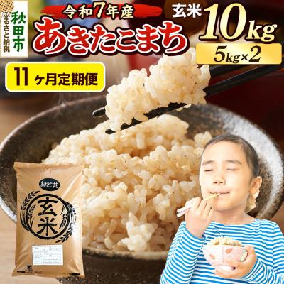 ふるさと納税 秋田市 《令和7年産》定期便11ヶ月 あきたこまち 10kg 玄米|15_mge-011011g
