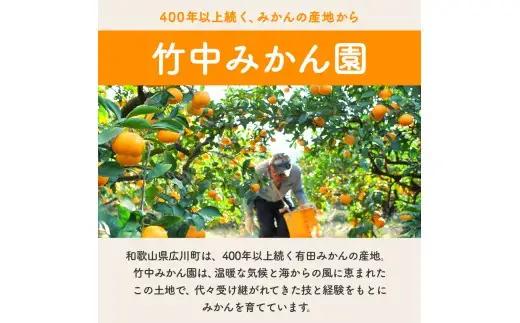 【でか甘】有田みかん 5kg 大玉みかん L～2L混合【tkn004-l-5A】
