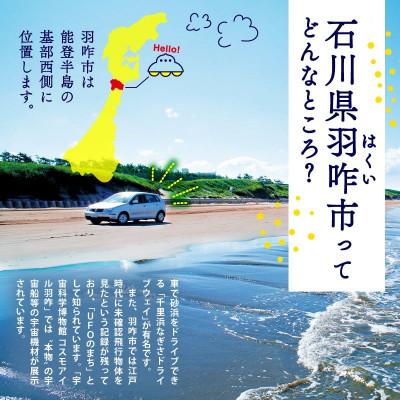 ふるさと納税 羽咋市 【数量限定】《令和7年産》 コシヒカリ のと米 精米  1kg×3袋  計3kg |  | 02