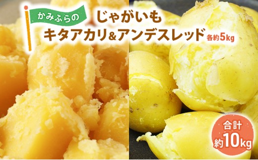 
            【令和8年産】かみふらのじゃがいも「キタアカリ5kg & アンデスレッド5kg」 野菜 旬の野菜 北海道産 北海道野菜 国産 国産野菜 グルメ 食材 ポテト 北海道産じゃがいも 
          
